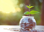 Asset Plus Fixed Income Fund
