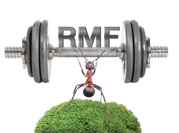 Asset Plus Small and Mid Cap Equity RMF Fund