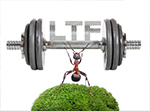 Asset Plus Small and Mid Cap Equity LTF Fund Accumulation Class
