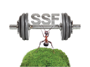 Asset Plus Small and Mid Cap Equity Super Saving Fund