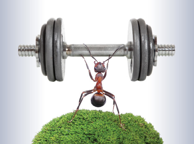 กองทุนเปิด แอสเซทพลัส หุ้นไทยขนาดกลางเล็ก ชนิดเงินลงทุนทั่วไป